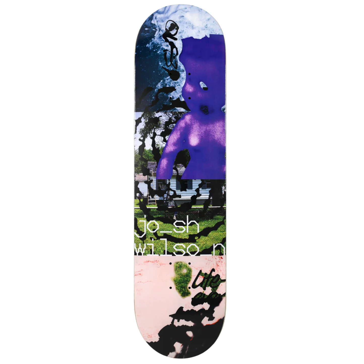 Quasi Josh Wilson Needmore Deck 8.0