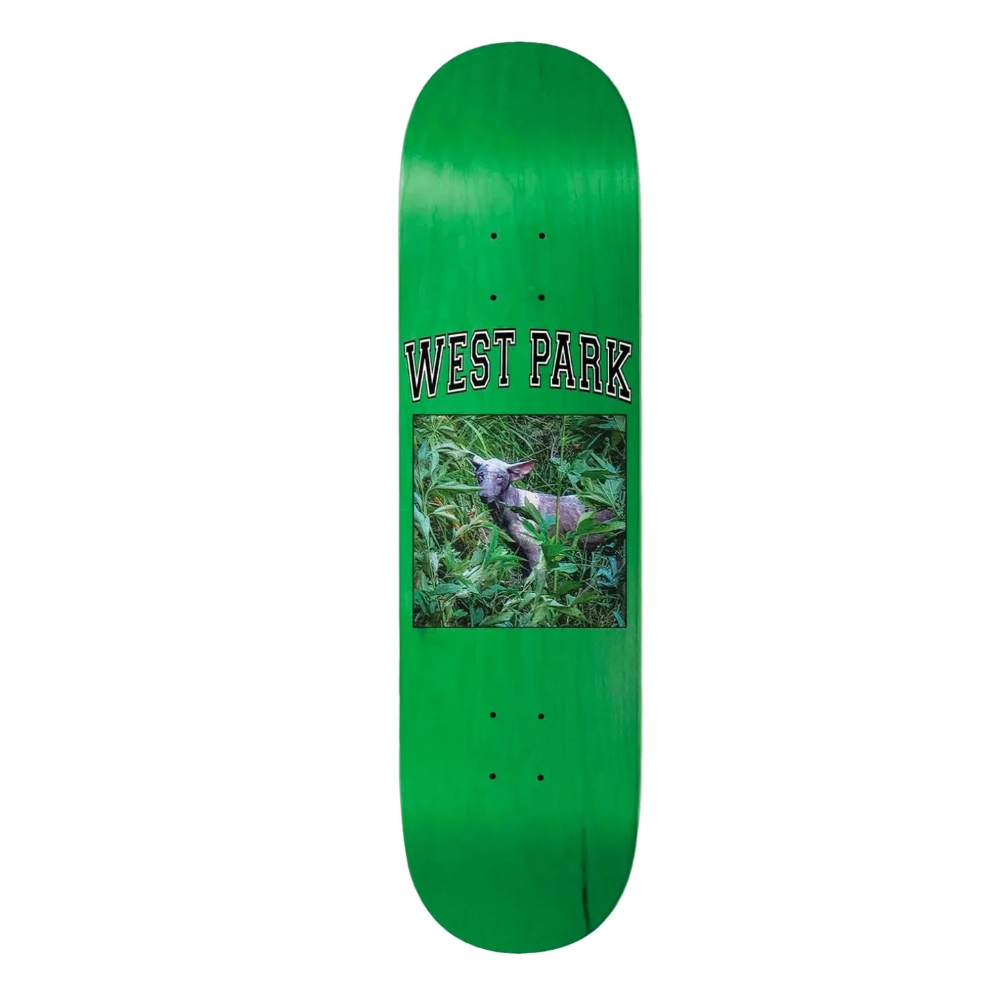 Limosine Aaron Angel Deck 8.5