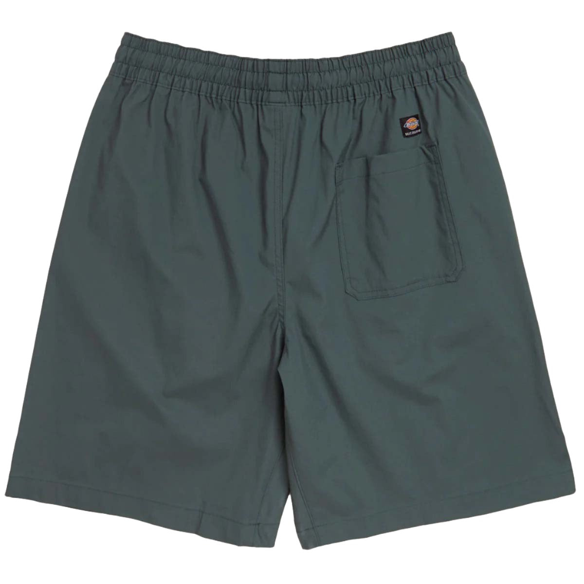 Dickies Skateboarding Grants Pass Shorts