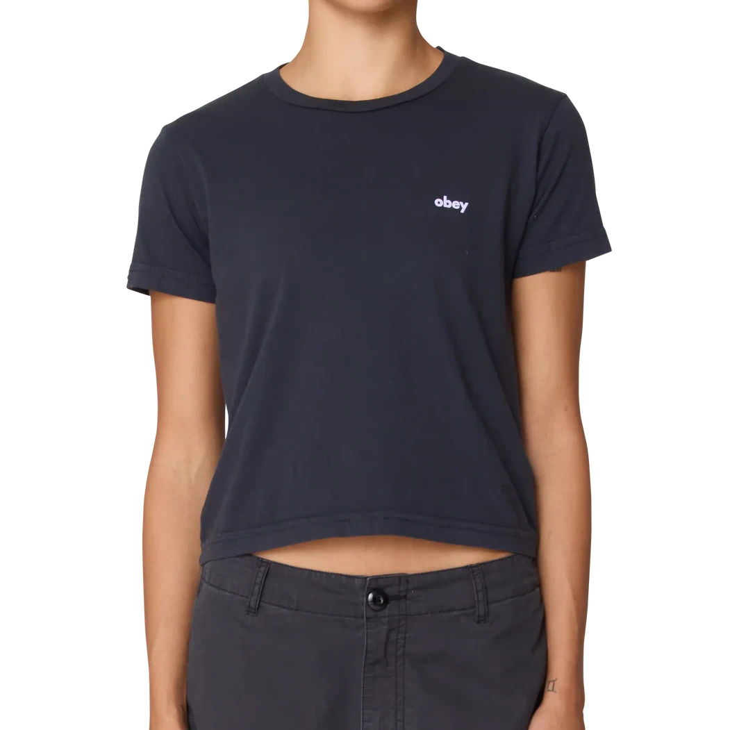 Obey Play And Have Fun Every Day Tee