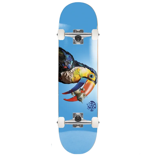 Push Toucan FP Complete - 8.0