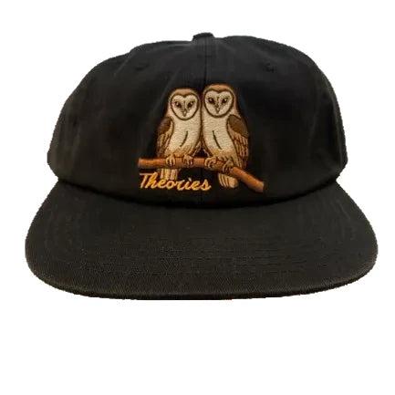 Theories Not What They Seem Snapback