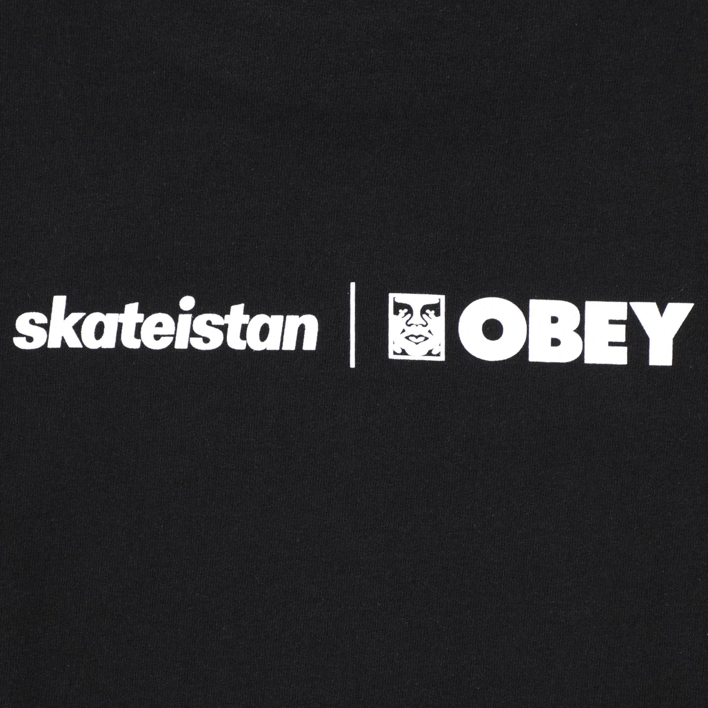 Obey Skateistan Tee