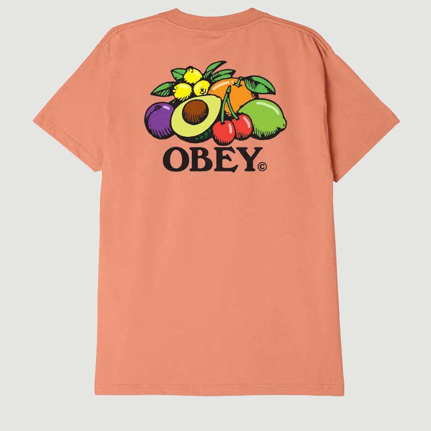 Obey Bowl Of Fruit Tee Citrus